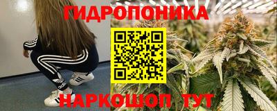 прущие крисы Гусь-Хрустальный