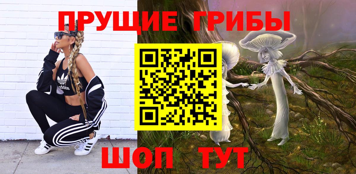 Минусинск  Галлюциногенные грибы Cubensis  Вход с VPN 
